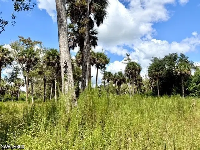 4445 36th Avenue Se, Naples, FL 34117 - #2