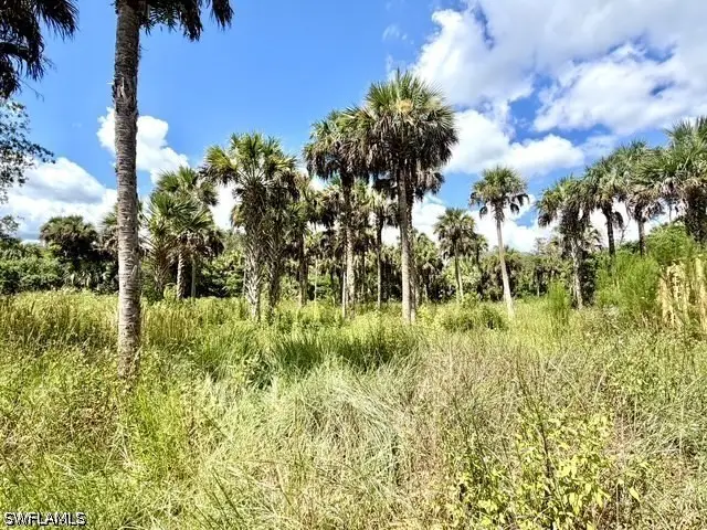 4445 36th Avenue Se, Naples, FL 34117 - #3