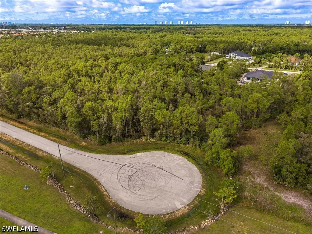 24166 Waterfall Drive, Bonita Springs, FL 34135 - #1