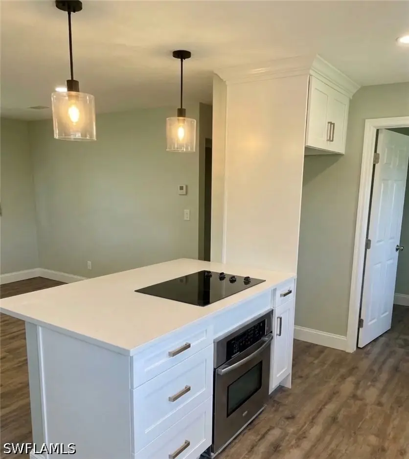 1609 Heiman Avenue, Fort Myers, FL 33905 - #3
