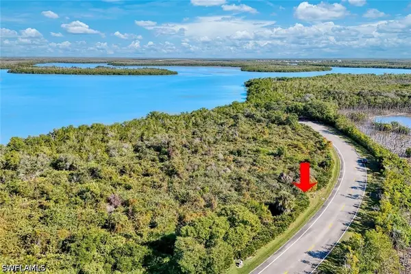 1011 Blue Hill Creek Drive, Marco Island, FL 34145