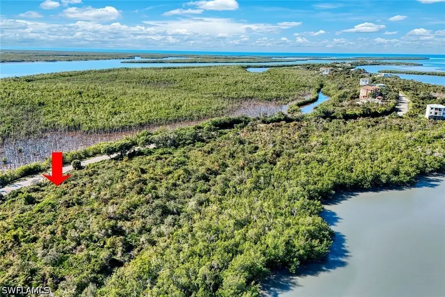1011 Blue Hill Creek Drive, Marco Island, FL 34145 - #2