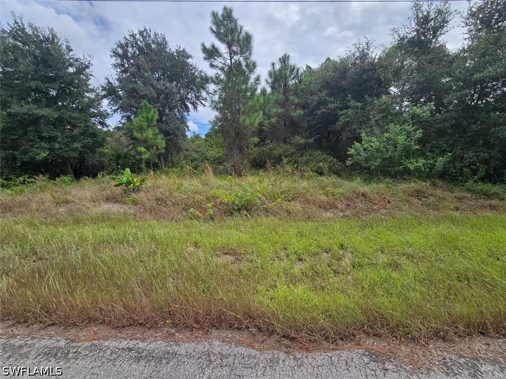 1916 Abbott Avenue, Lehigh Acres, FL 33972 - #1