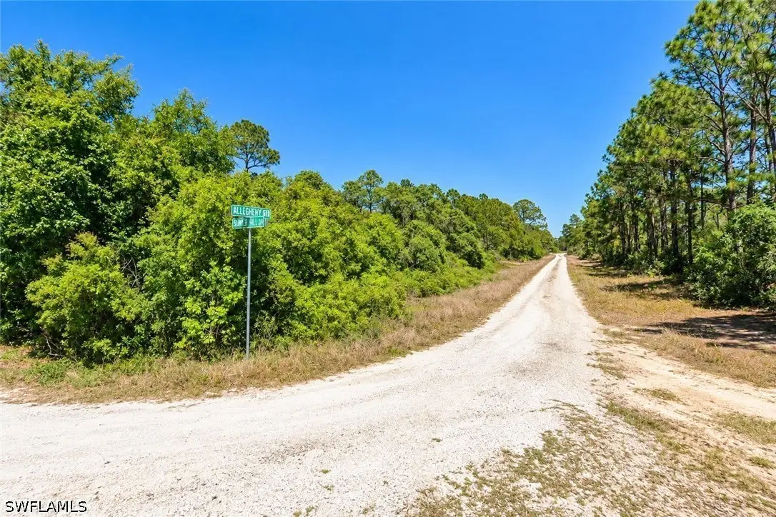 406 Allegheny Avenue, Lake Placid, FL 33852 - #1