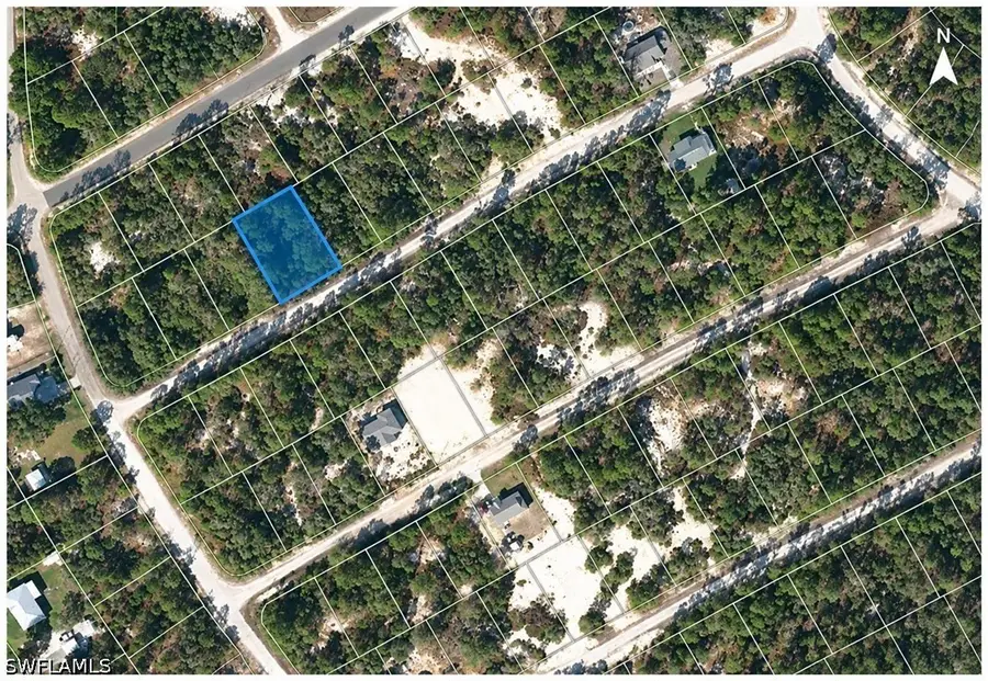 406 Allegheny Avenue, Lake Placid, FL 33852 - #2