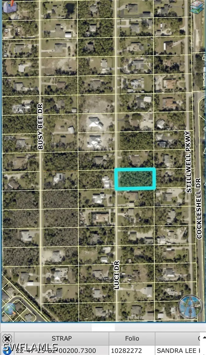 25461 Luci Drive, Bonita Springs, FL 34135 - #3