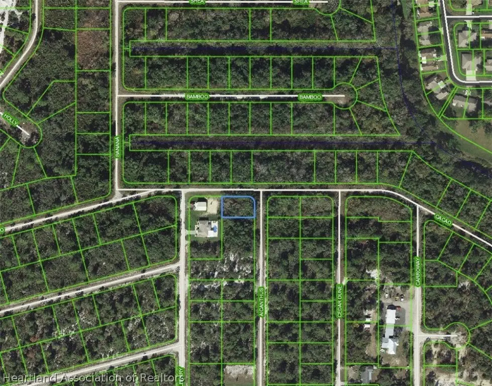 Address Withheld By Seller, Lake Placid, FL 33852 - #1