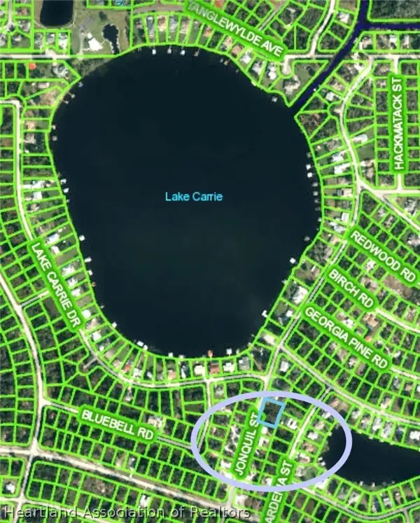 1007 Jonquil Street, Lake Placid, FL 33852