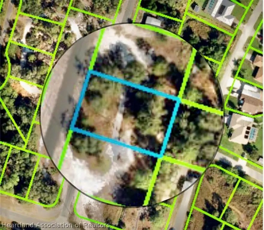 1007 Jonquil Street, Lake Placid, FL 33852 - Image #3