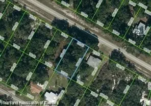 308 Nichele Boulevard, Lake Placid, FL 33852