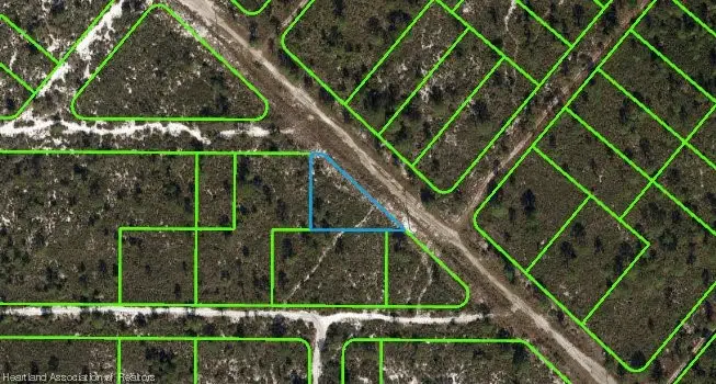 536 Nevada Avenue, Lake Placid, FL 33852 - #2