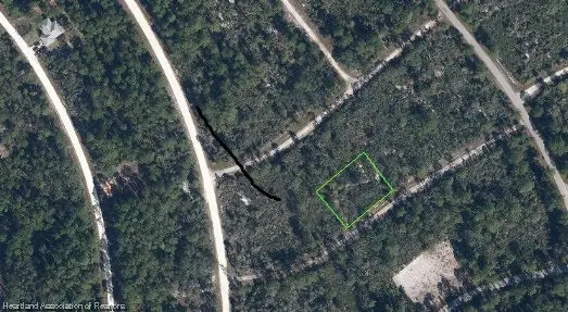 3131 Forest Avenue, Lake Placid, FL 33852