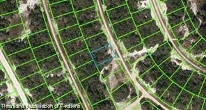 234 Rhythm Drive, Lake Placid, FL 33852