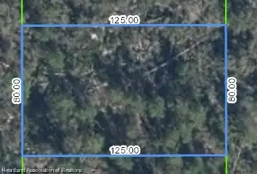 3510 Teakwood Drive, Sebring, FL 33875 - Image #3