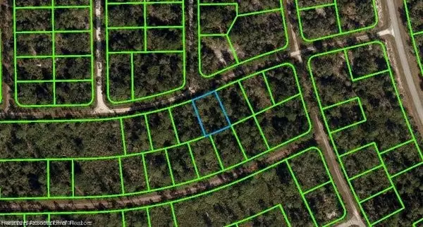 3238 Dean Avenue, Lake Placid, FL 33852