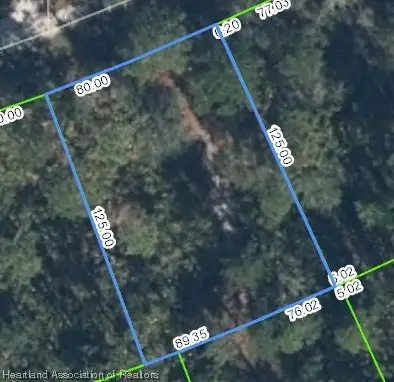 3238 Dean Avenue, Lake Placid, FL 33852 - Image #2