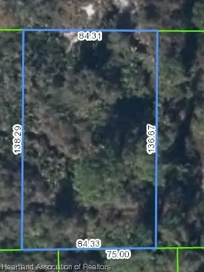 1045 Iguana Street, Lake Placid, FL 33852 - Image #3