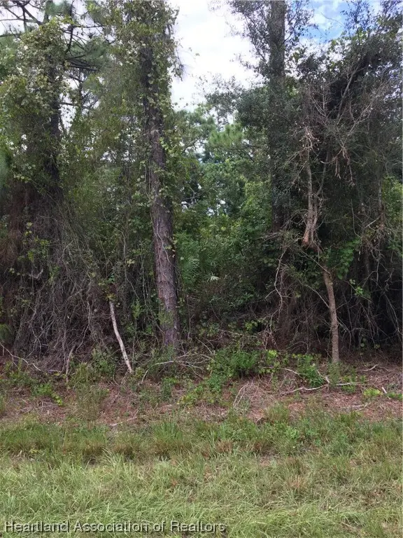 3247 Forrest View Avenue, Lake Placid, FL 33852 - #2