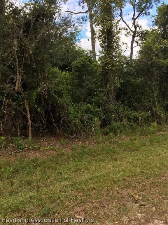 3247 Forrest View Avenue, Lake Placid, FL 33852 - #3