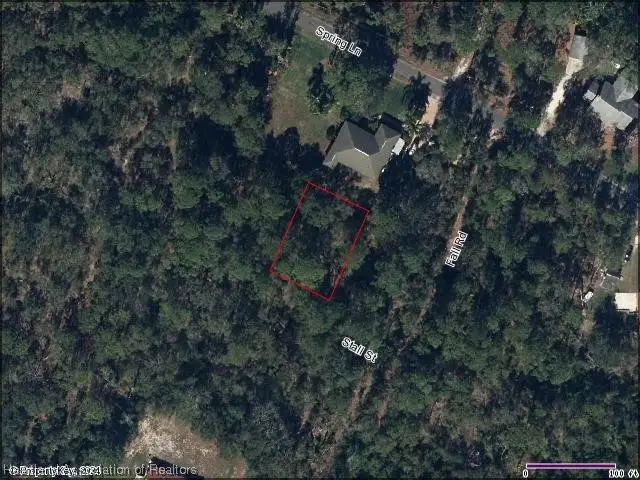 1429 Stall Street, Lake Placid, FL 33852 - Image #2