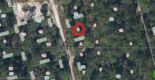 213 Imagination Drive, Lake Placid, FL 33852
