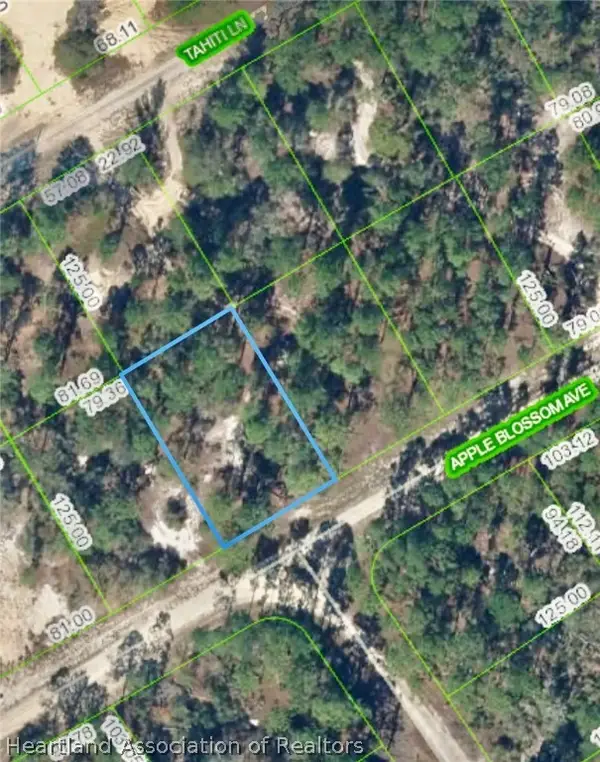 406 Apple Blossom Avenue, Lake Placid, FL 33852