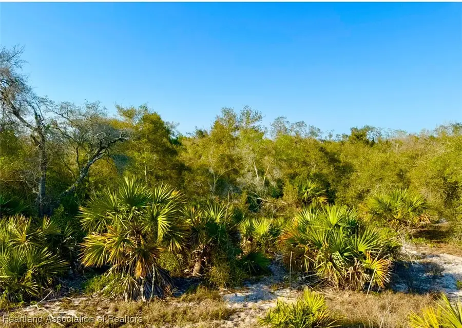 183 Flagler Street, Lake Placid, FL 33852 - Image #3