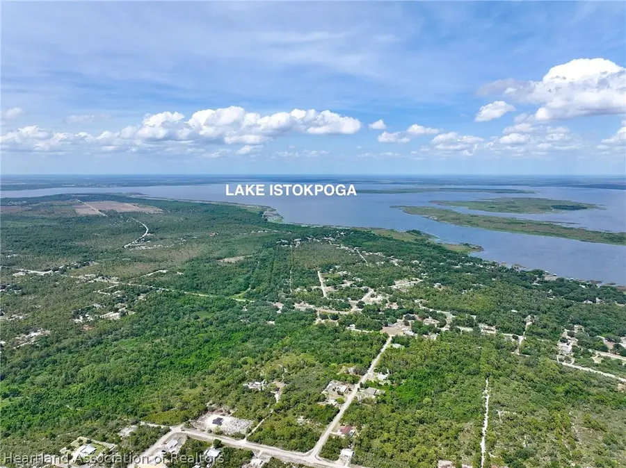 334 Falcon Street, Lake Placid, FL 33852 - #3