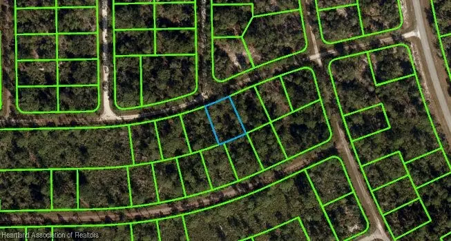 3238 Dean Avenue, Lake Placid, FL 33852 - Image #2