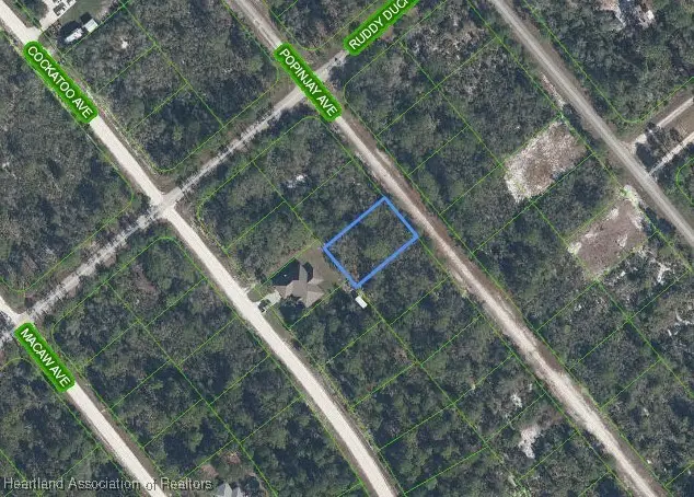 1218 Popinjay Avenue, Lake Placid, FL 33852 - Image #1