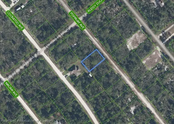 1218 Popinjay Avenue, Lake Placid, FL 33852