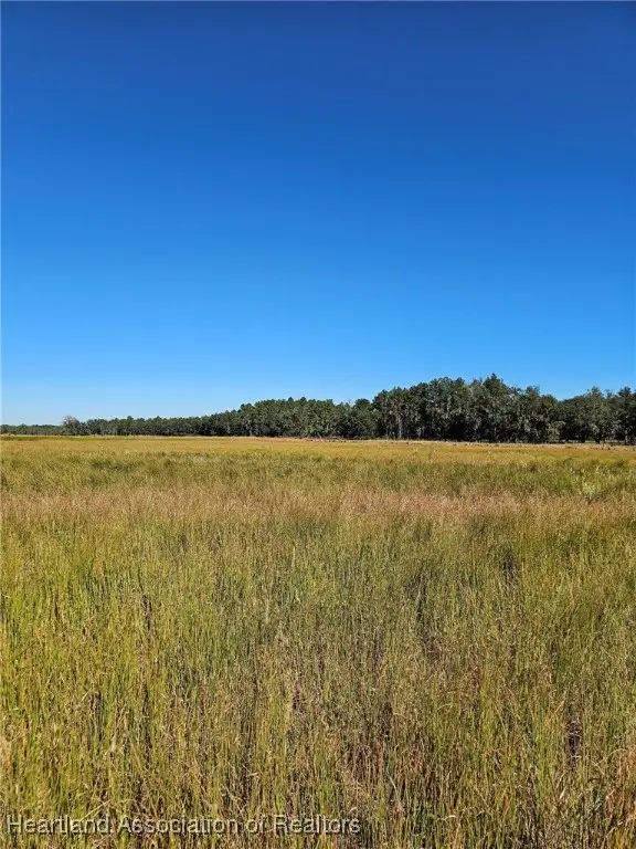 0 9th Street Ne, Fort Meade, FL 33841 - Image #1