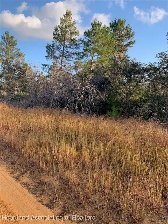 2907 W Seville Drive, Avon Park, FL 33825 - Image #2