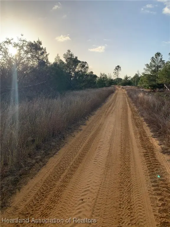 2907 W Seville Drive, Avon Park, FL 33825 - Image #3