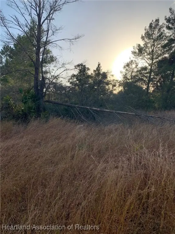 2851 W Seville Drive, Avon Park, FL 33825 - Image #3