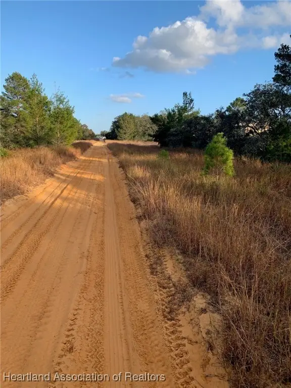 2836 W Seville Drive, Avon Park, FL 33825 - Image #3