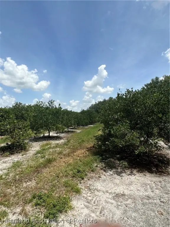 Prescott Road, Zolfo Springs, FL 33890