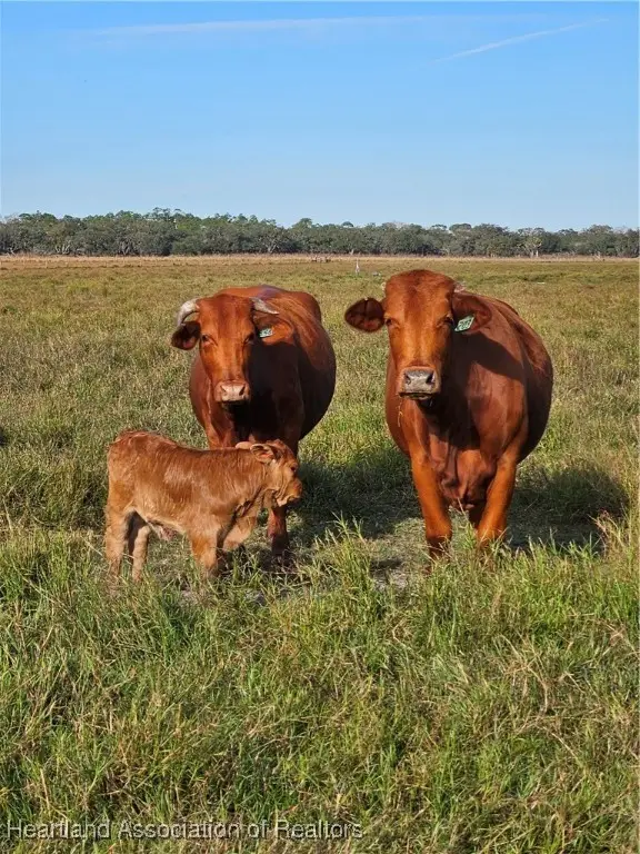 76 Magness Road, Venus, FL 33960 - Image #2