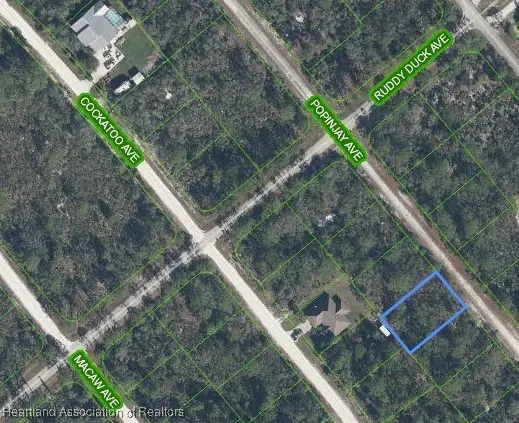 1216 Popingjay Avenue, Lake Placid, FL 33852 - Image #1