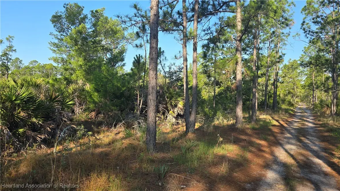 1605 Nectar Avenue, Sebring, FL 33875 - Image #1