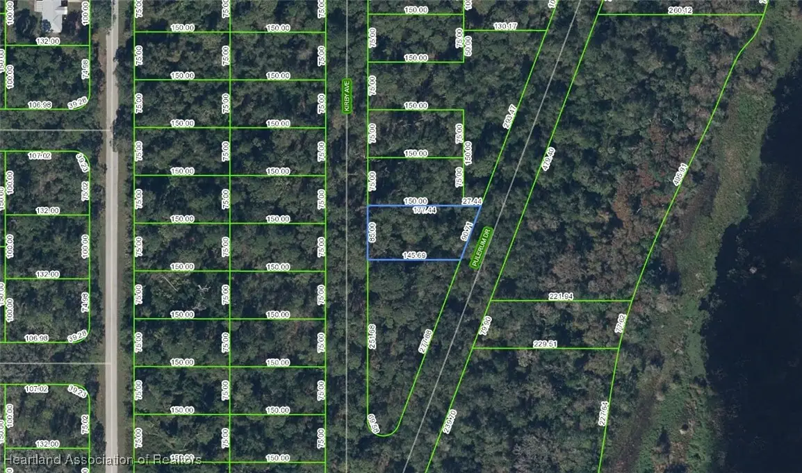 927 Kirby Avenue, Lake Placid, FL 33852 - #1