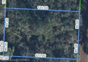 718 Neale Street, Lake Placid, FL 33852 - Image #2