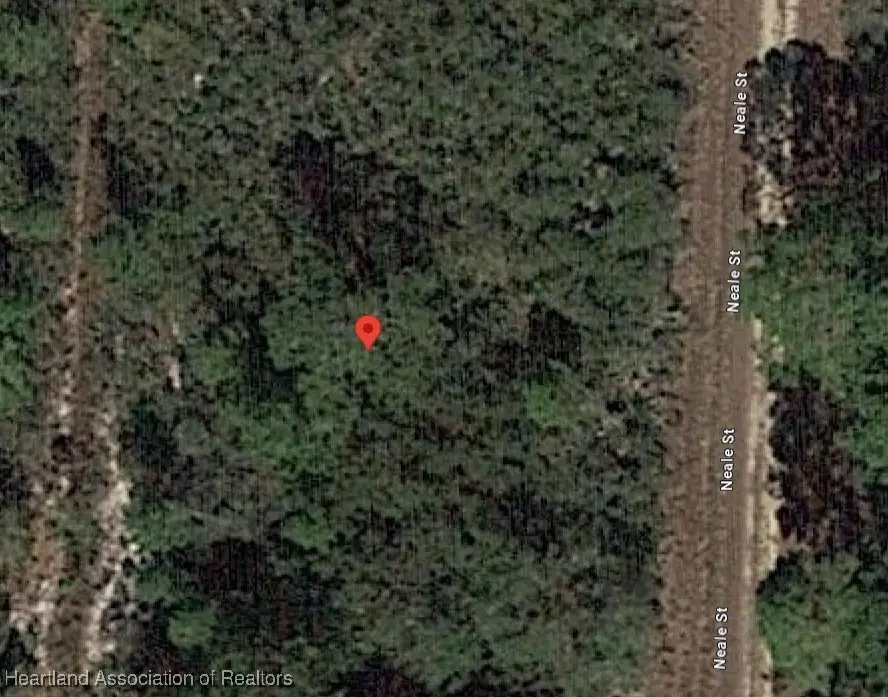 718 Neale Street, Lake Placid, FL 33852 - Image #3