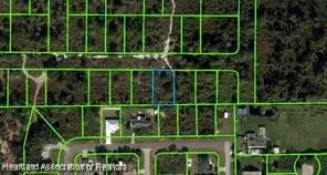 601 Tennessee Avenue, Lake Placid, FL 33852 - #1