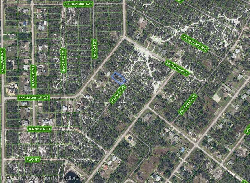 1066 Hughes Avenue, Lake Placid, FL 33852 - #2