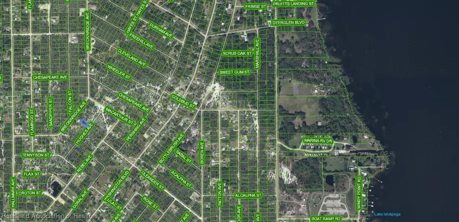 1066 Hughes Avenue, Lake Placid, FL 33852 - #3