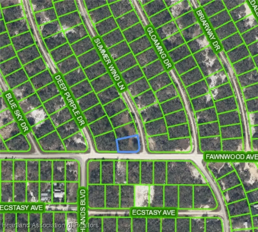 424 Fawnwood Avenue, Lake Placid, FL 33852 - Image #2