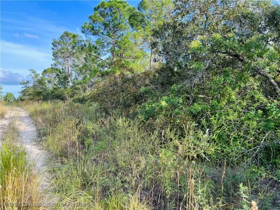 273 Tulip Drive, Lake Placid, FL 33852 - Image #2