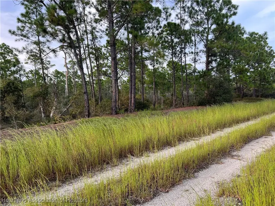 382 Showboat Avenue, Lake Placid, FL 33852 - Image #3