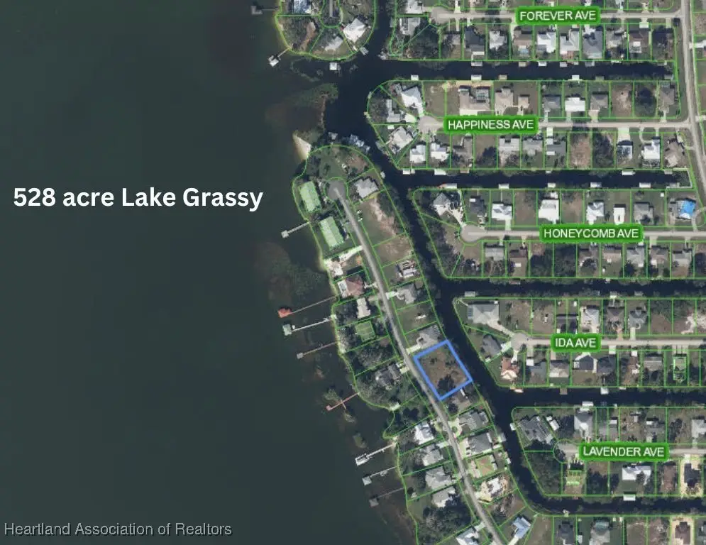 155 Blue Moon Avenue, Lake Placid, FL 33852 - Image #1